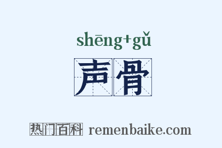 声骨是什么意思的图片